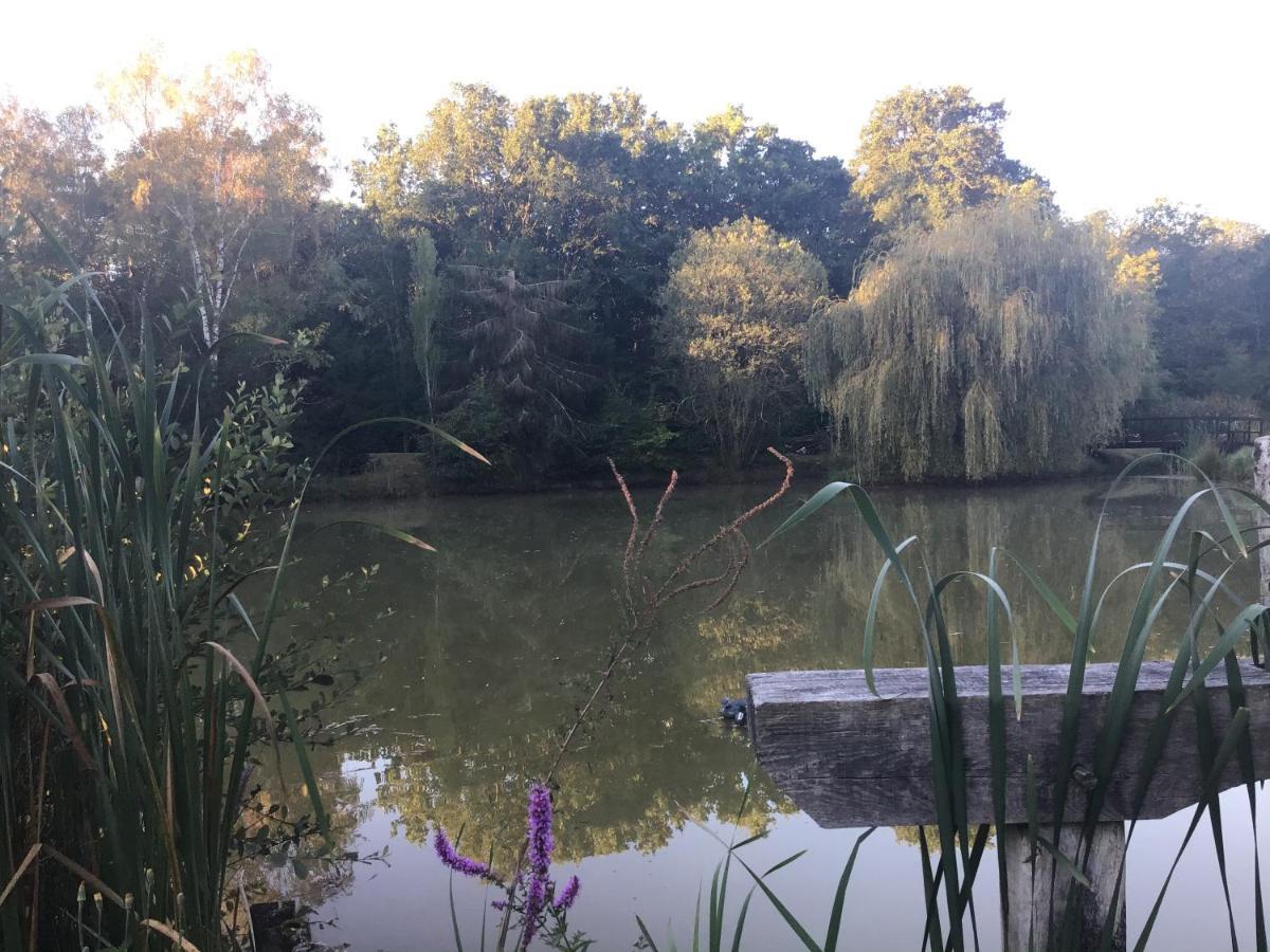 Marcilly-en-Gault Ferme Boisquillon Bed & Breakfast エクステリア 写真